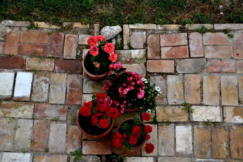B&B Casale Fonte Vecchia Monteprandone Luaran gambar
