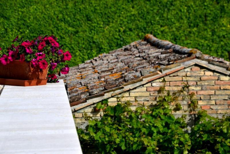 B&B Casale Fonte Vecchia Monteprandone Luaran gambar