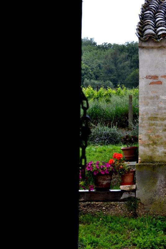 B&B Casale Fonte Vecchia Monteprandone Luaran gambar