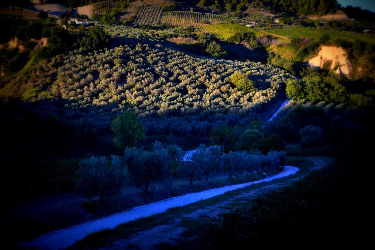 B&B Casale Fonte Vecchia Monteprandone Luaran gambar